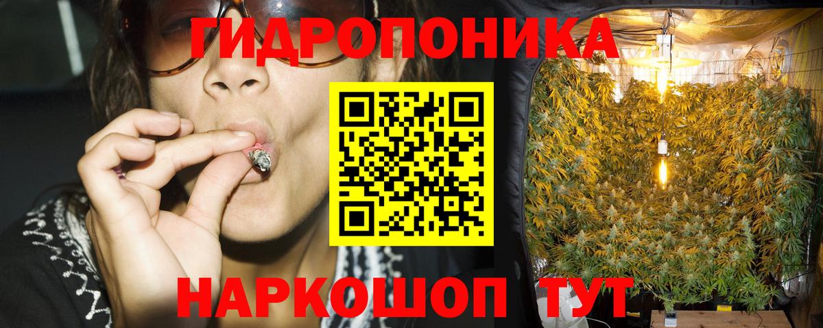 Канабис ГИДРОПОН Кудрово